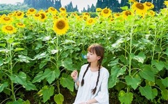 中文字幕AV久久激情亚洲精品